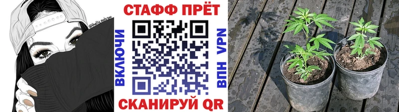 Купить закладку Псилоцибиновые грибы  КОКАИН  АМФ  Мефедрон  Марихуана  ГАШИШ  Alpha PVP  Мытищи