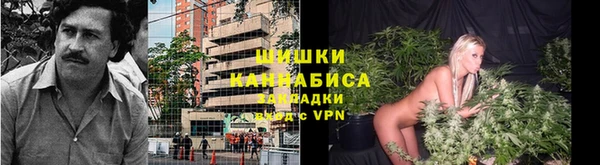 спиды Киреевск