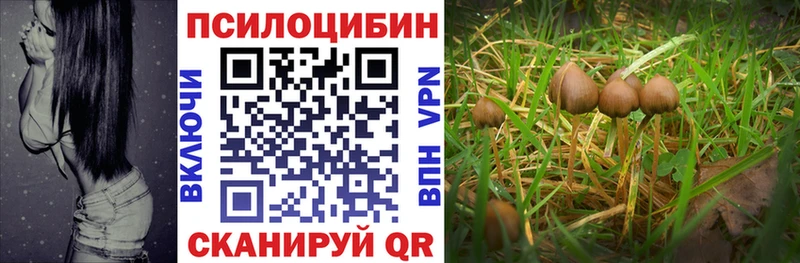 Купить закладки  Мытищи  Галлюциногенные грибы Cubensis 